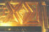 fox organ